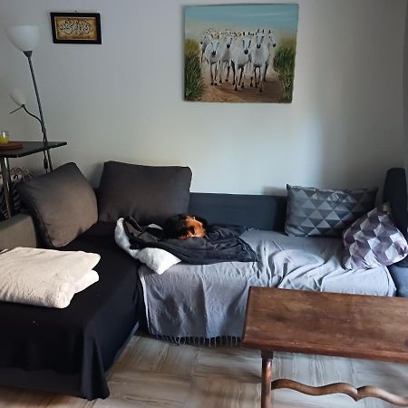 Rez-De-Jardin Grand Studio Apartment Cros-de-Cagnes Luaran gambar
