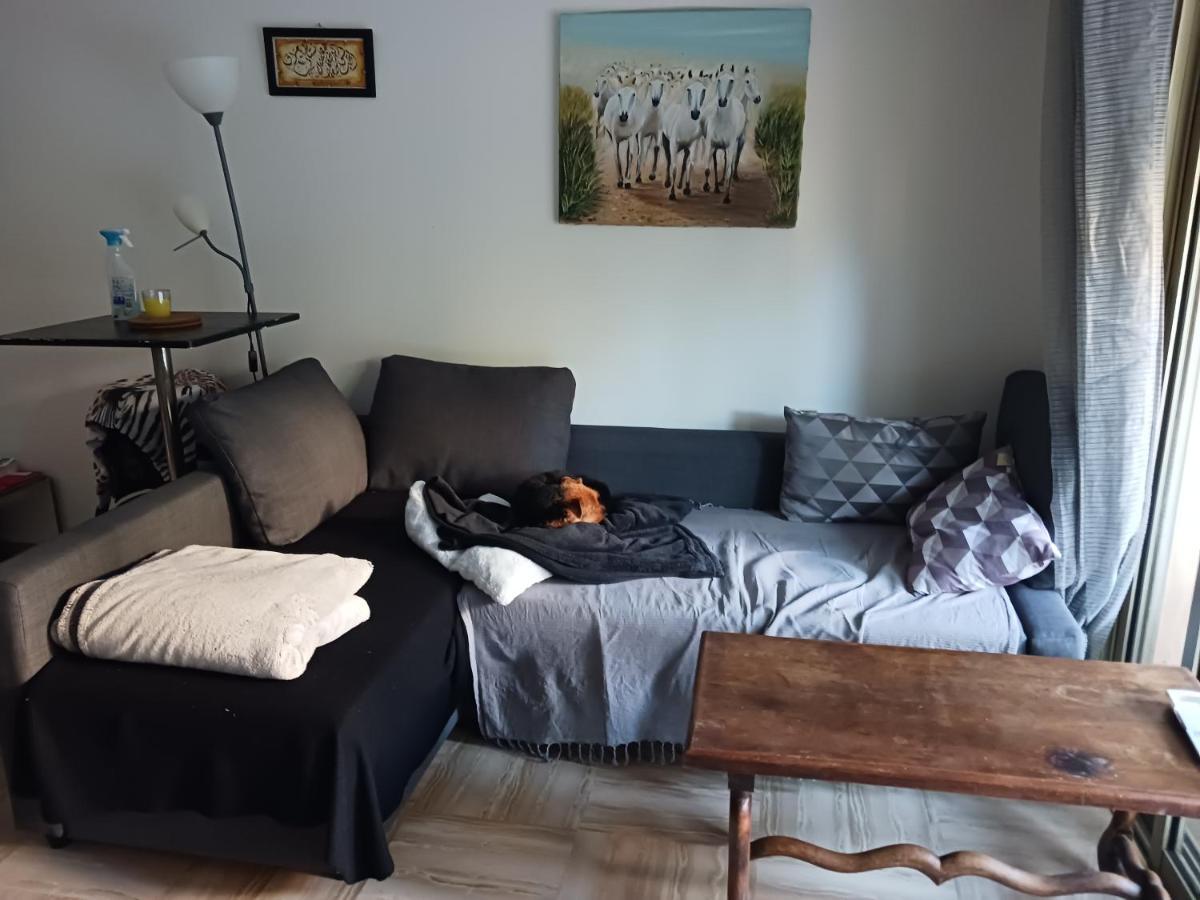 Rez-De-Jardin Grand Studio Apartment Cros-de-Cagnes Luaran gambar