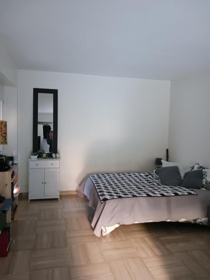 Rez-De-Jardin Grand Studio Apartment Cros-de-Cagnes Luaran gambar
