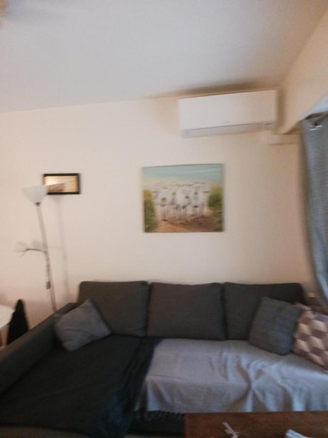 Rez-De-Jardin Grand Studio Apartment Cros-de-Cagnes Luaran gambar